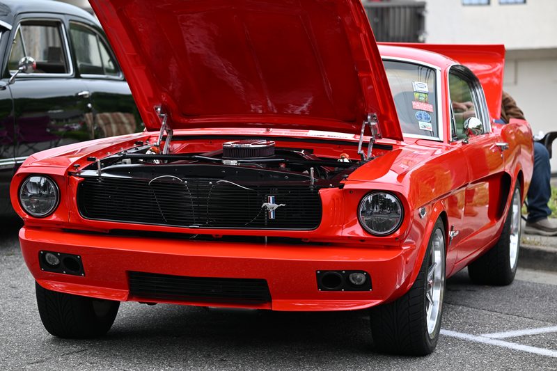 DSC_0619.JPG